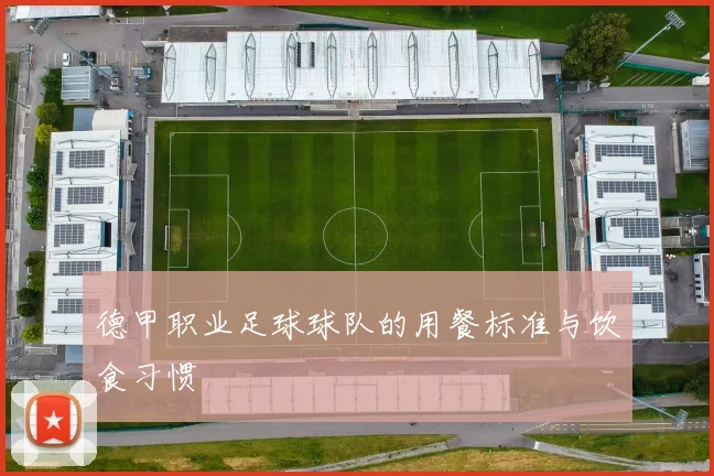 德甲职业足球球队的用餐标准与饮食习惯