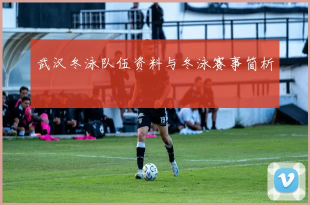 武汉冬泳队伍资料与冬泳赛事简析