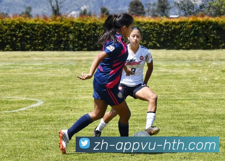 华体会hth品牌故事