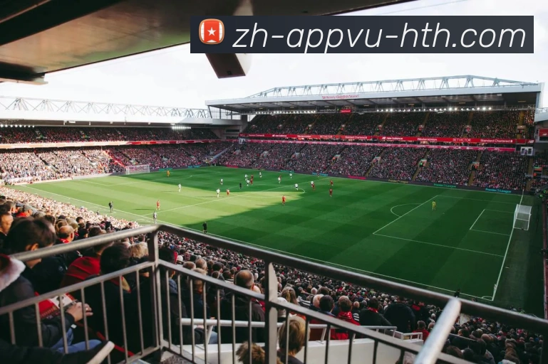 华体会hth服务体系